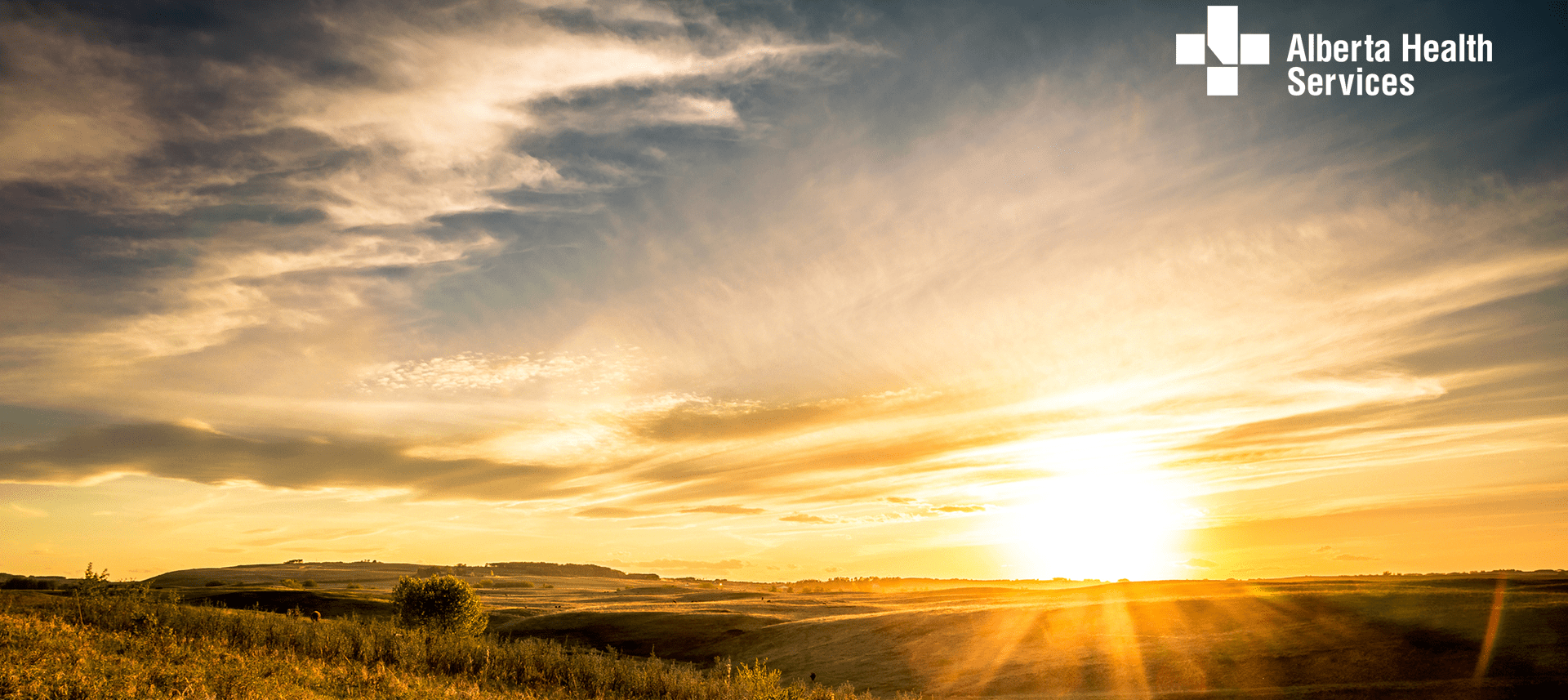 Translated Health Information